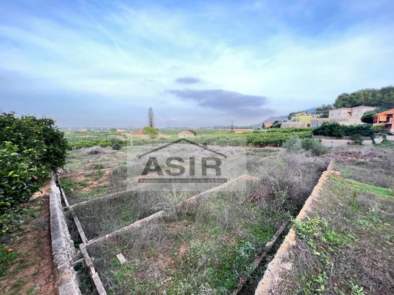 Rural plot near Alzira with views