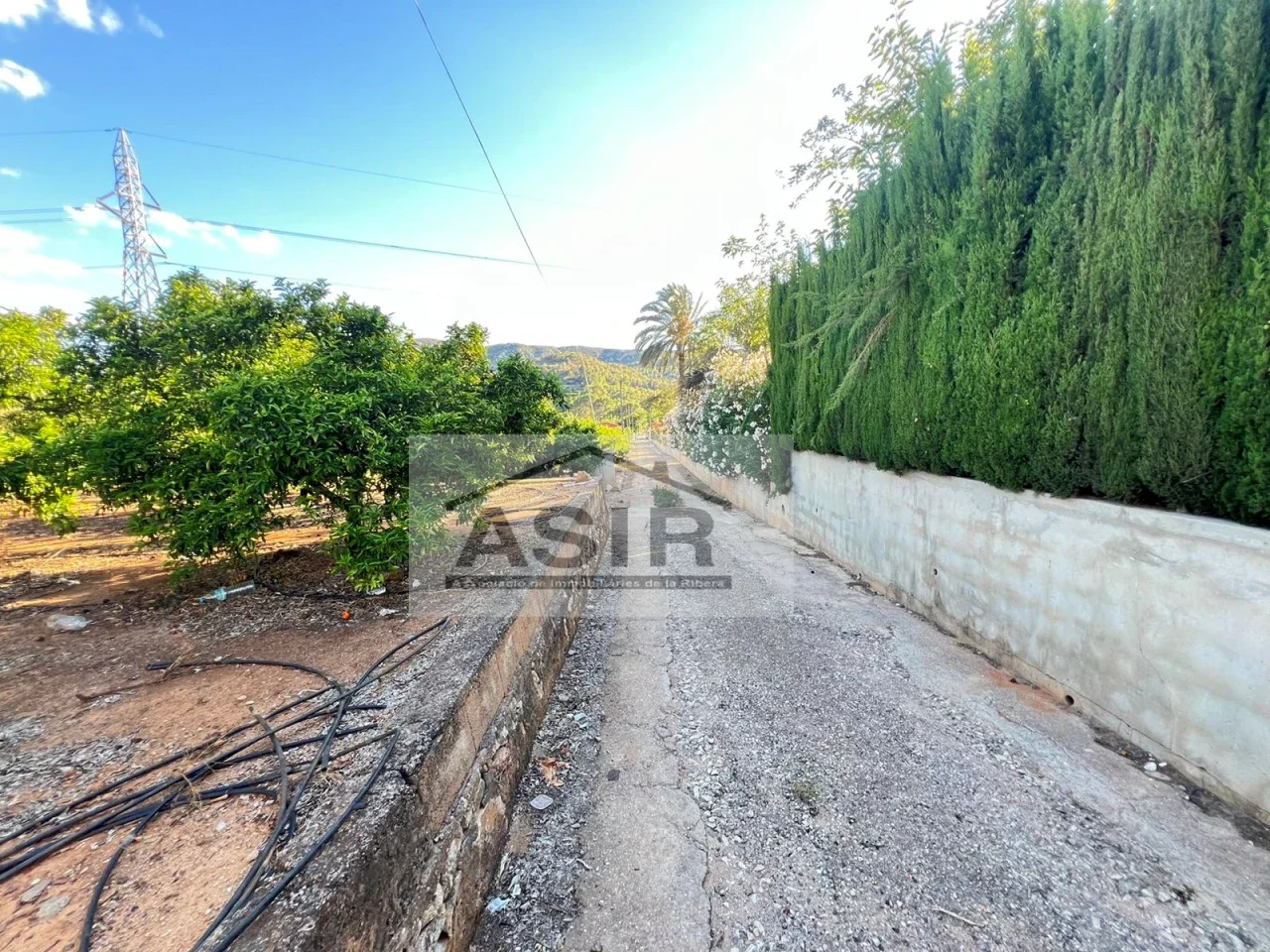 Gran parcela rústica cerca de Alzira, 7.144 m²