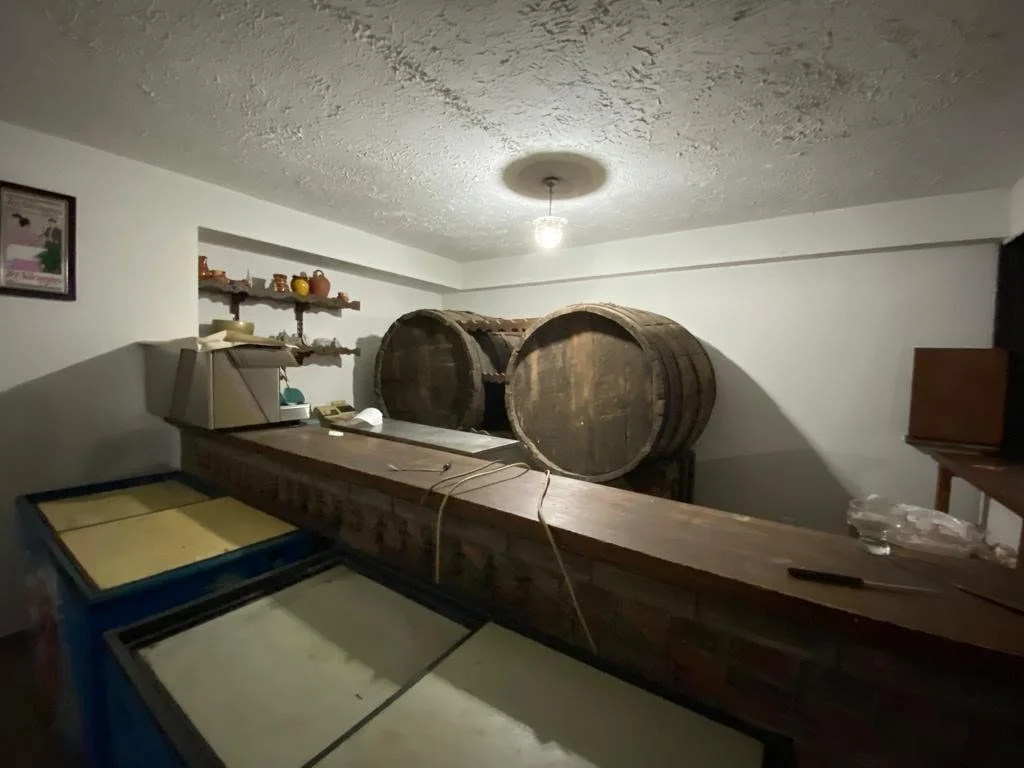 Operating hostal with 32 rooms, León