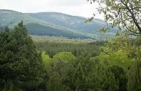 Urban plot near Guadarrama, 938 m²