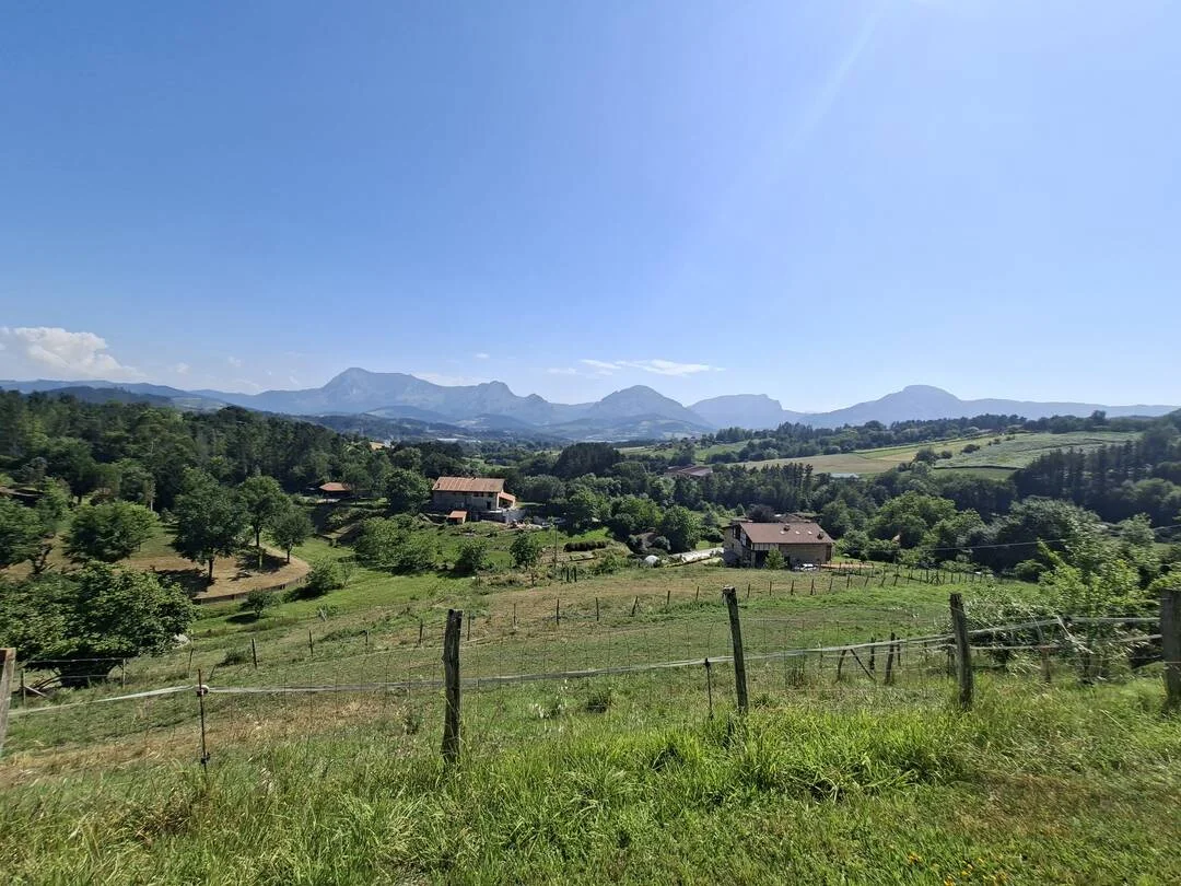 Casa rural amplia con parcela de 14.500 m²