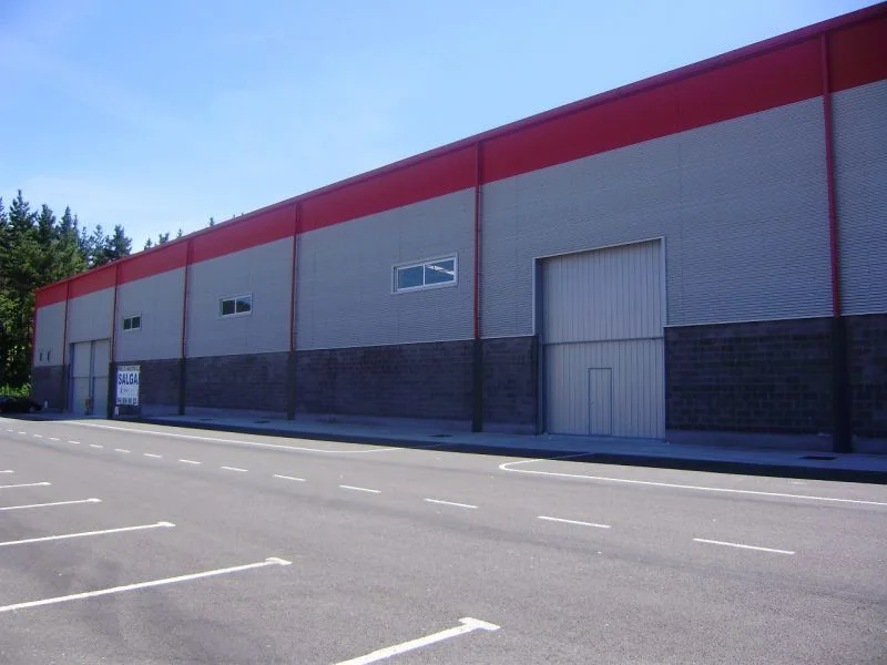 Large industrial hall in Etxebarria