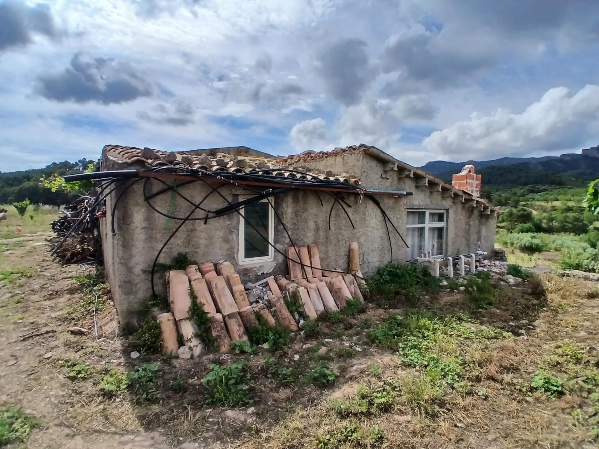Finca rústica con huerto productivo