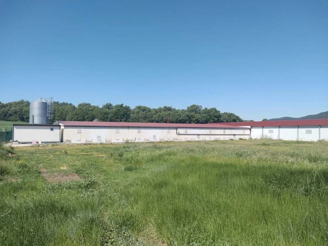 Operational rabbit farm near Zúñiga