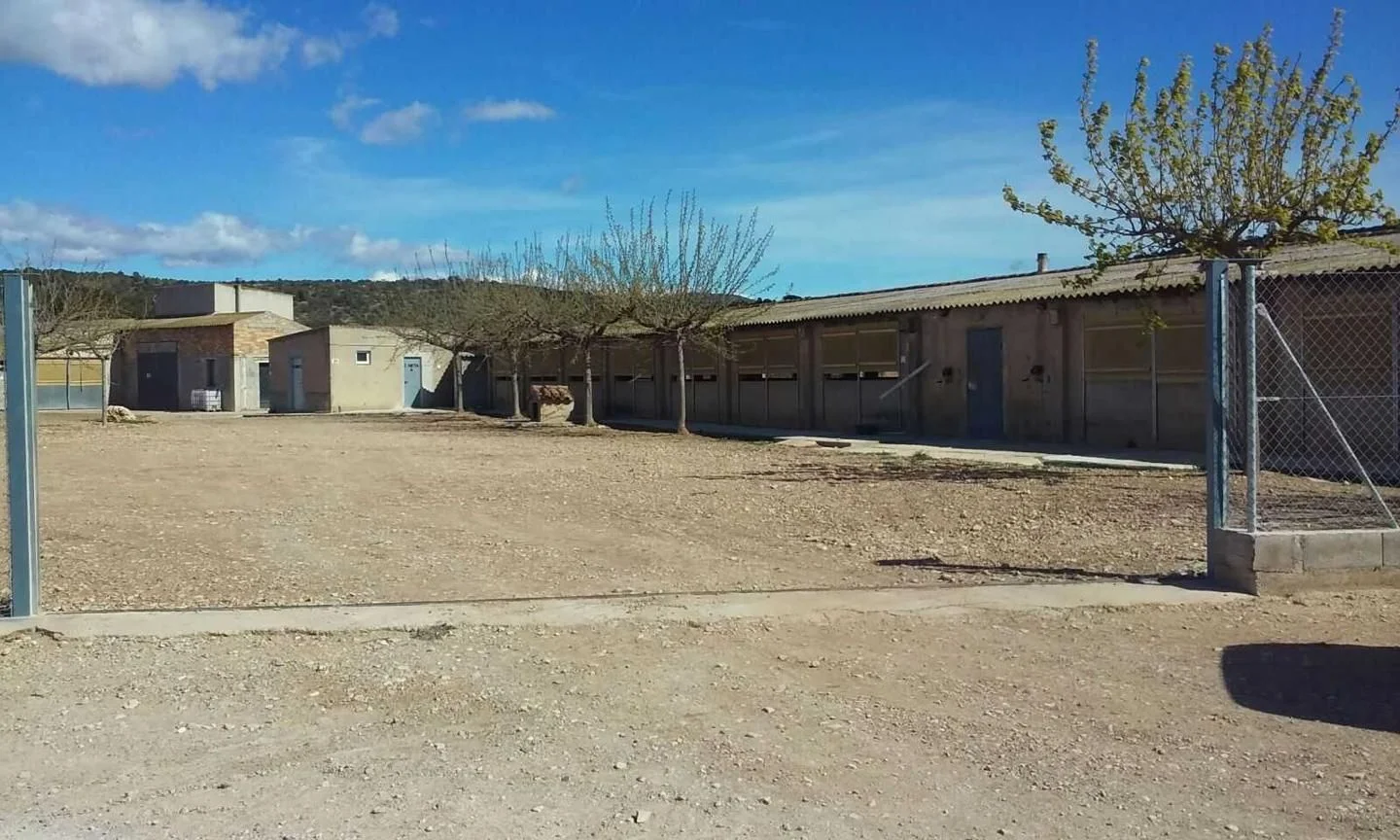 Industrial warehouses in Traiguera, 960 m²