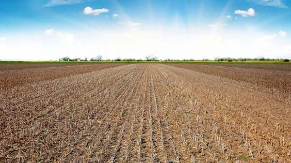 Dry-farmed agricultural land near Zamora