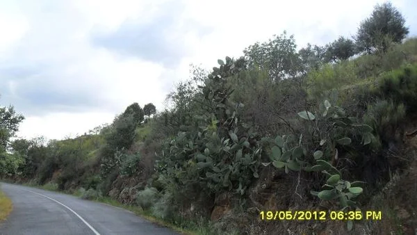 Large rural land near Pereña