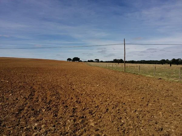 Large rural estate near Peñaranda
