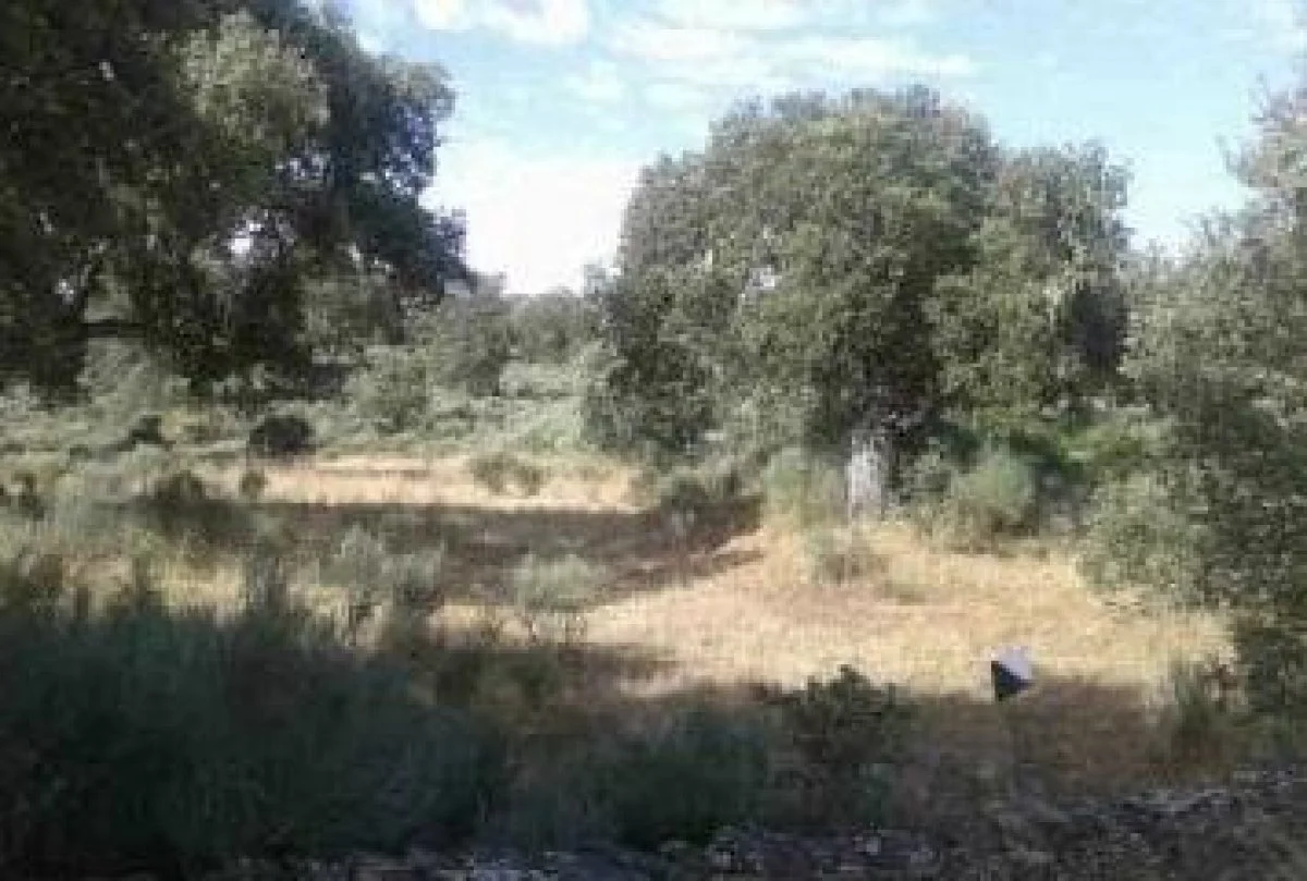 Terreno rústico agrícola de 17.492 m²