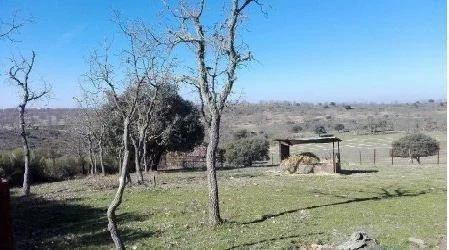 Gran parcela rústica cerca de Ciudad Rodrigo