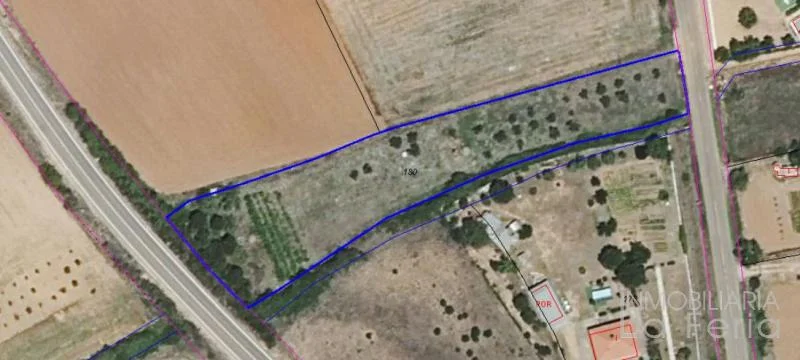 Finca rústica con olivos cerca de La Hiniesta