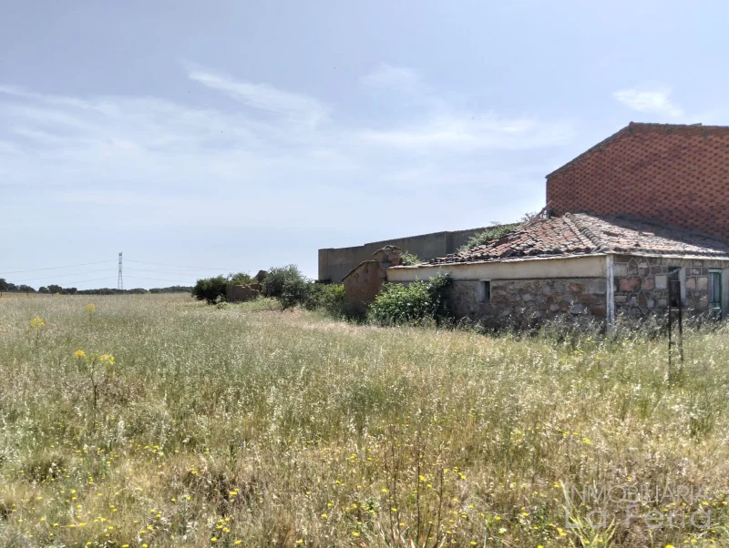 Finca rústica con casa en ruinas