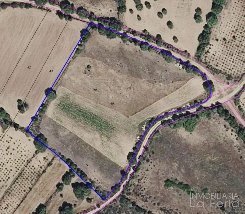Conjunto de fincas rústicas cerca de Fariza