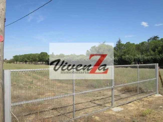 Fenced organic rural plot in Entrala