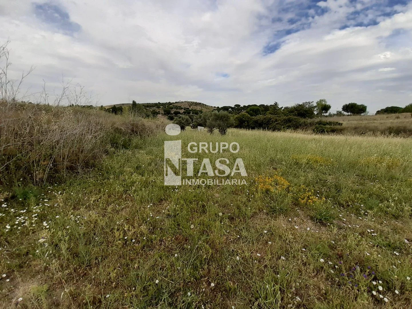 Finca de 3.228 m² con servicios cerca de Zamora