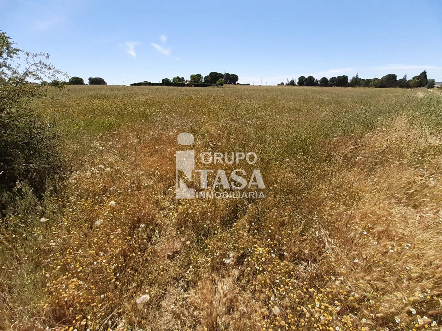 Large rural plot near Moraleja