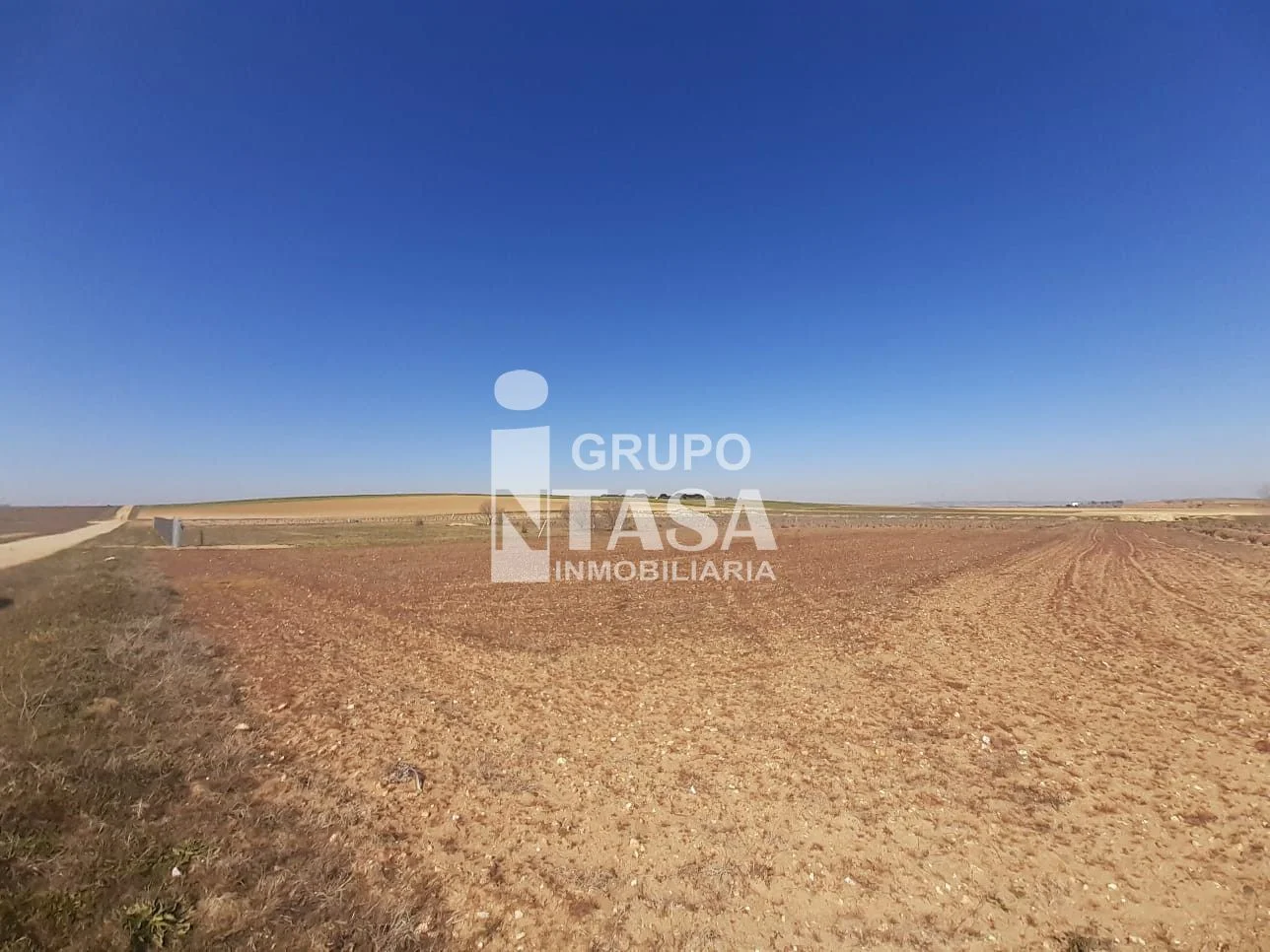Agricultural plot with 450–480 vines