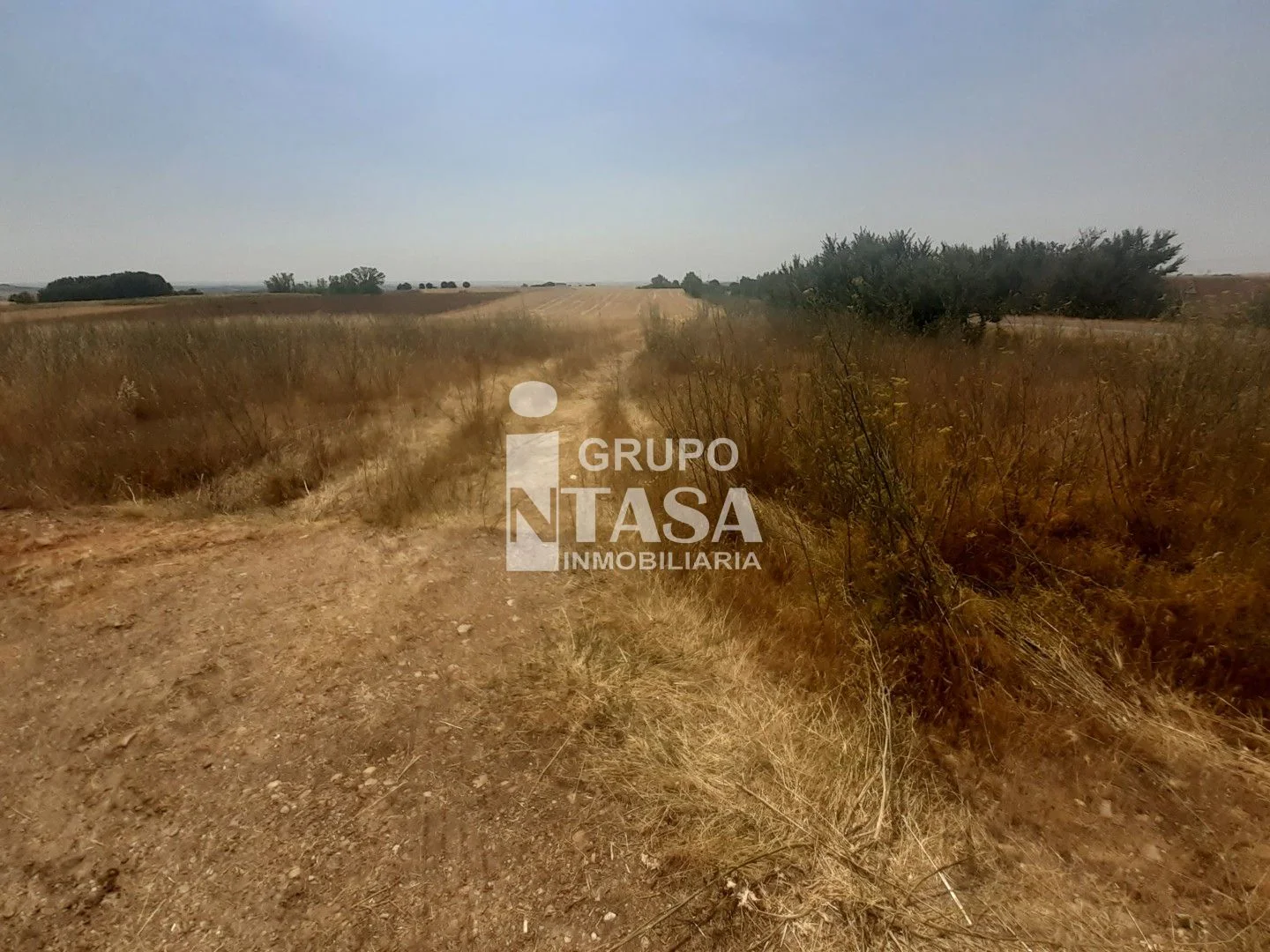 Parcela agrícola de secano cerca de Zamora