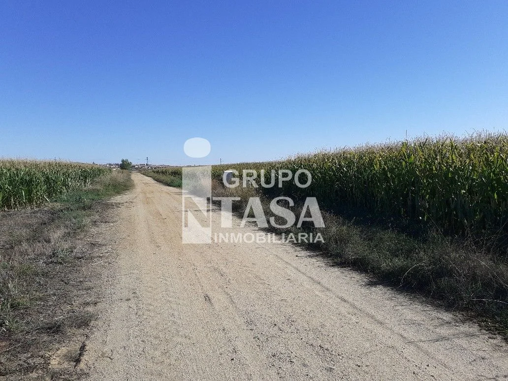 Terreno de regadío de 9.300 m² en Coreses