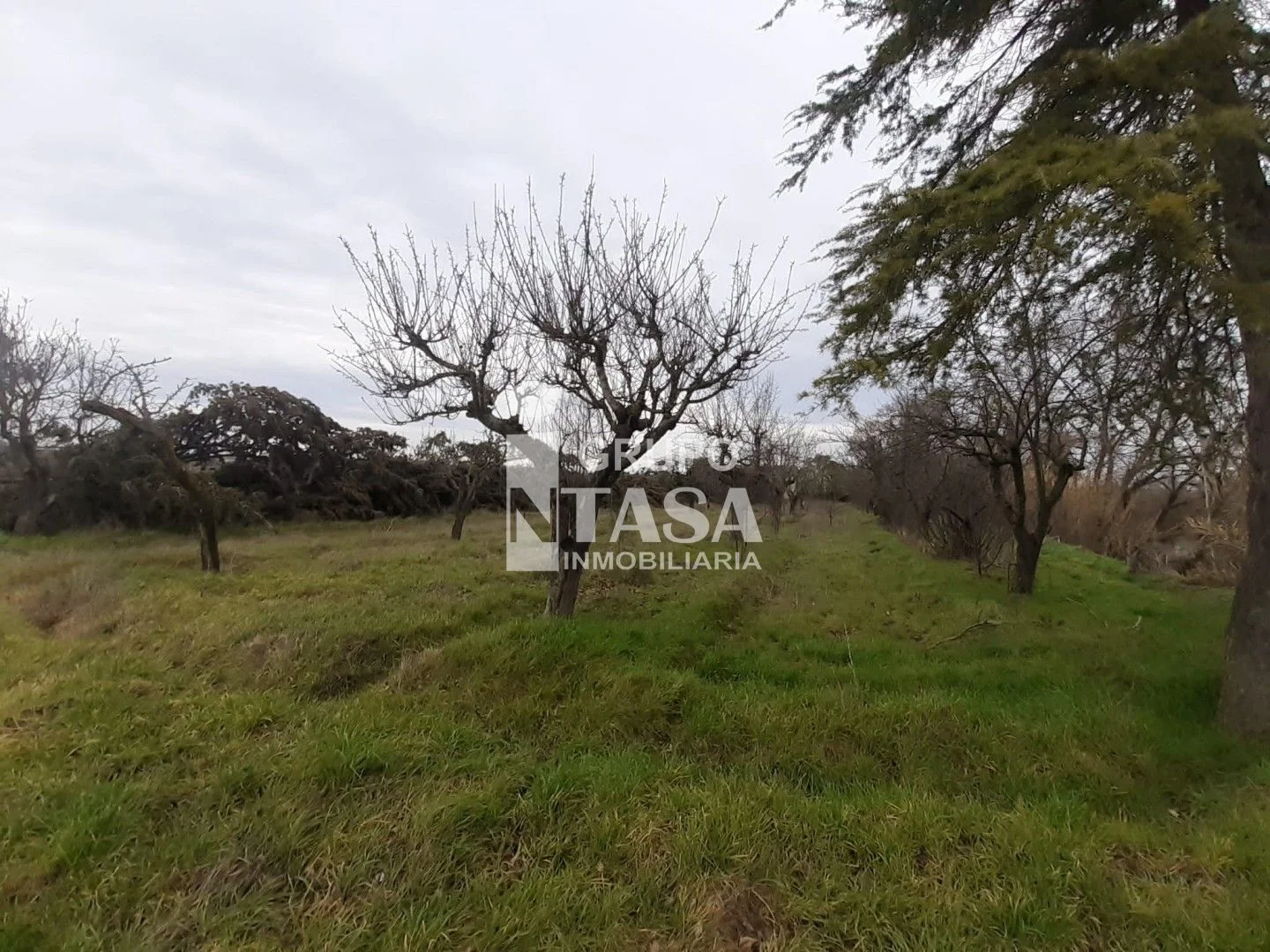 Parcela agrícola de regadío cerca de Fresno