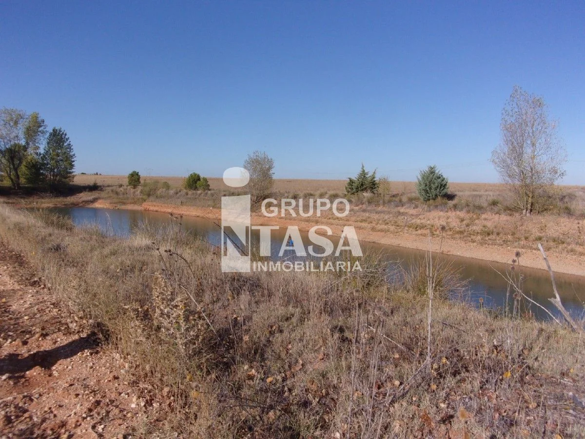 Gran terreno regadío en La Hiniesta