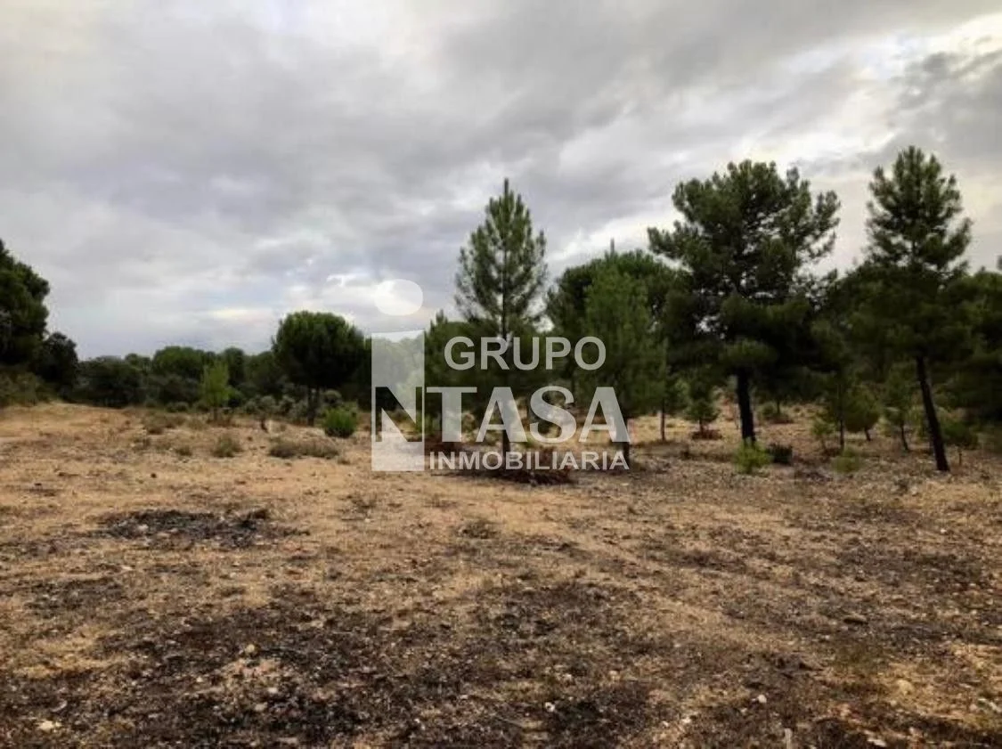Parcela agrícola de secano cerca de Toro, 6.973 m²