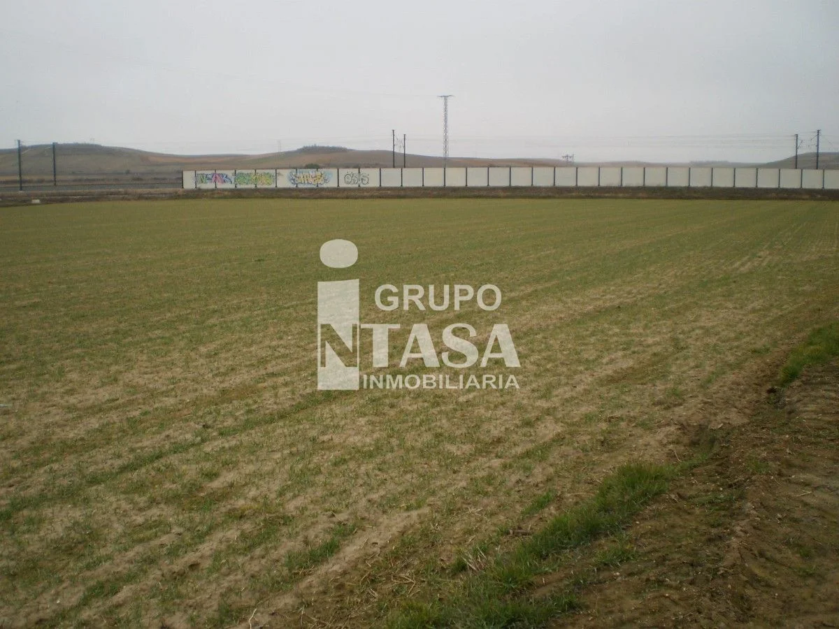 Finca de regadío de seis hectáreas