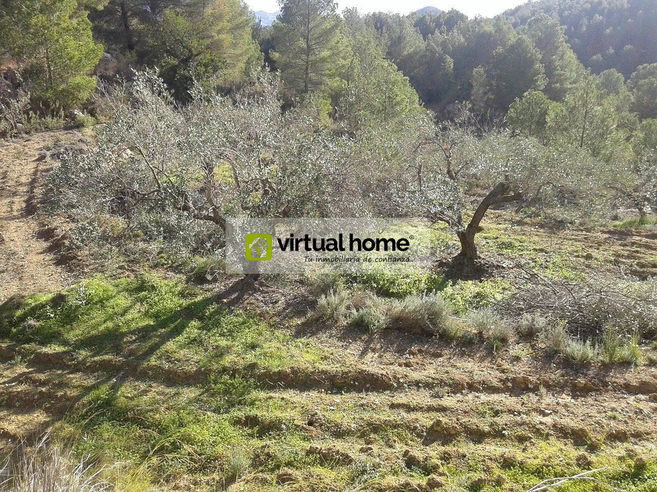 Rural Polop plot with open views