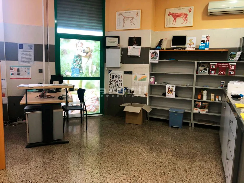 Veterinary clinic in Alcoy North