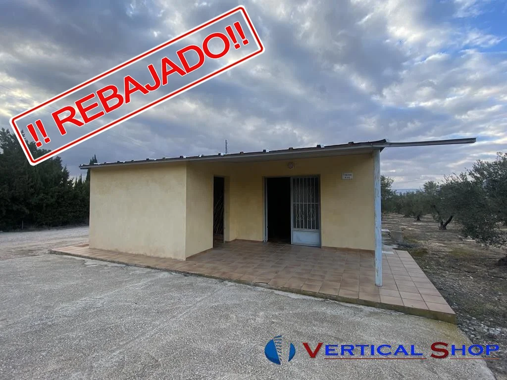 Chalet reformado con olivar productivo