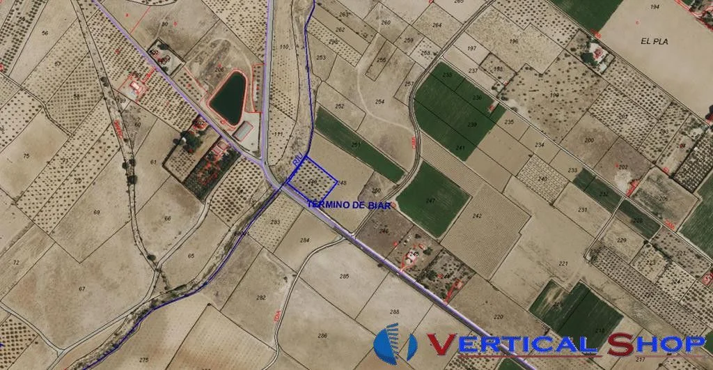 Rustic olive grove plot in Biar