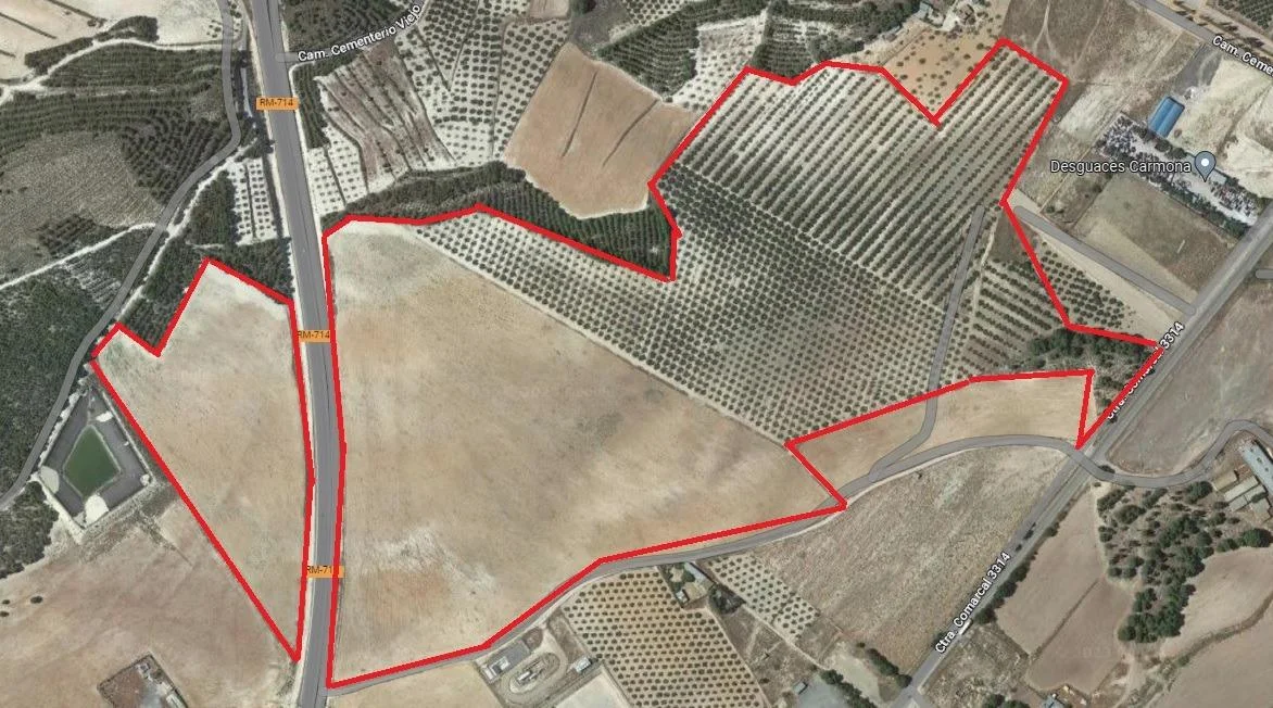 Level rural land with olive grove