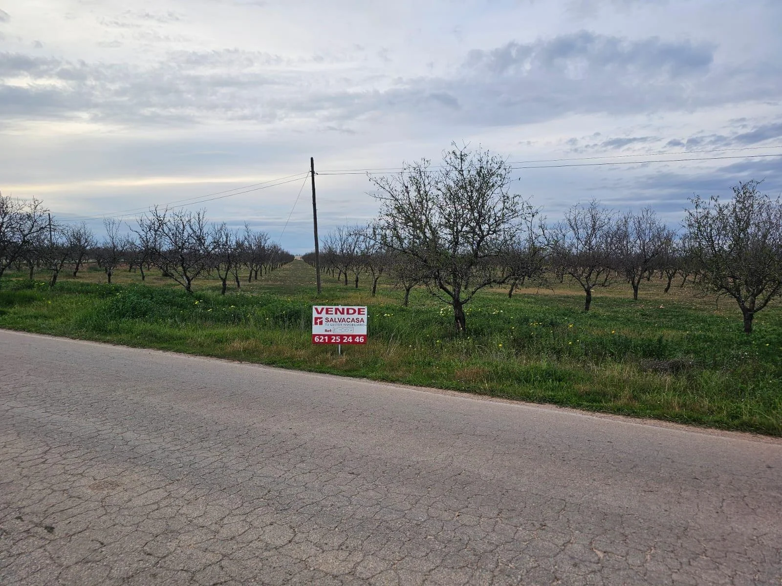 Rural plot near Campillo de Arriba
