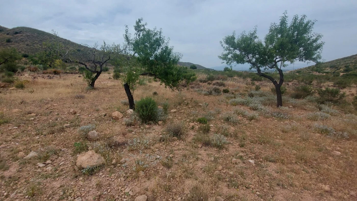 Terreno rural en El Mingrano, Murcia