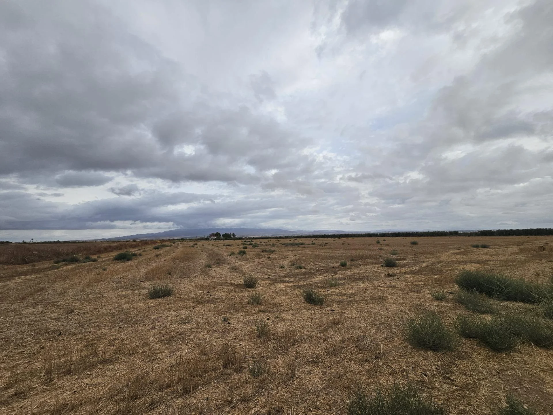 Rural dryland plot near La Pinilla