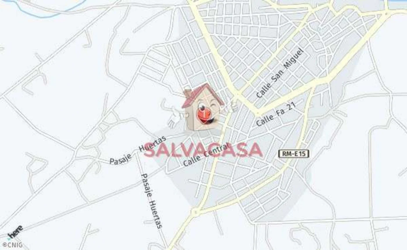 Rural plot in Fuente Álamo, 200 m²