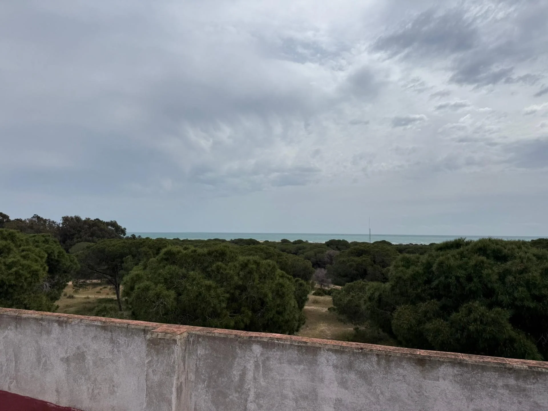 Original apartment in Buenavista, three bedrooms