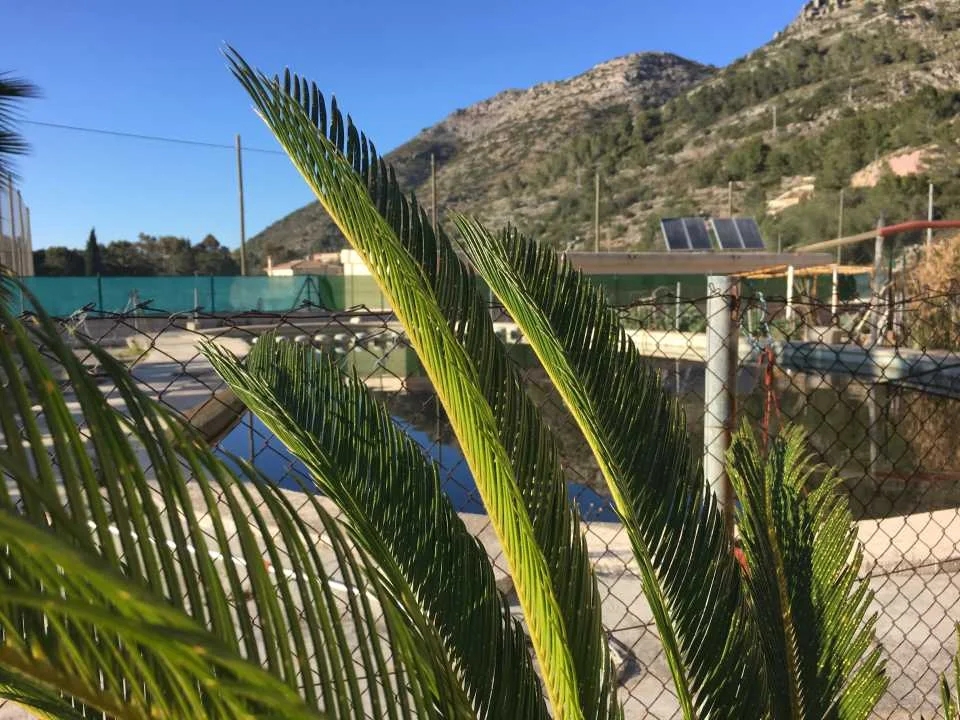 Barx redevelopment plot with private pool