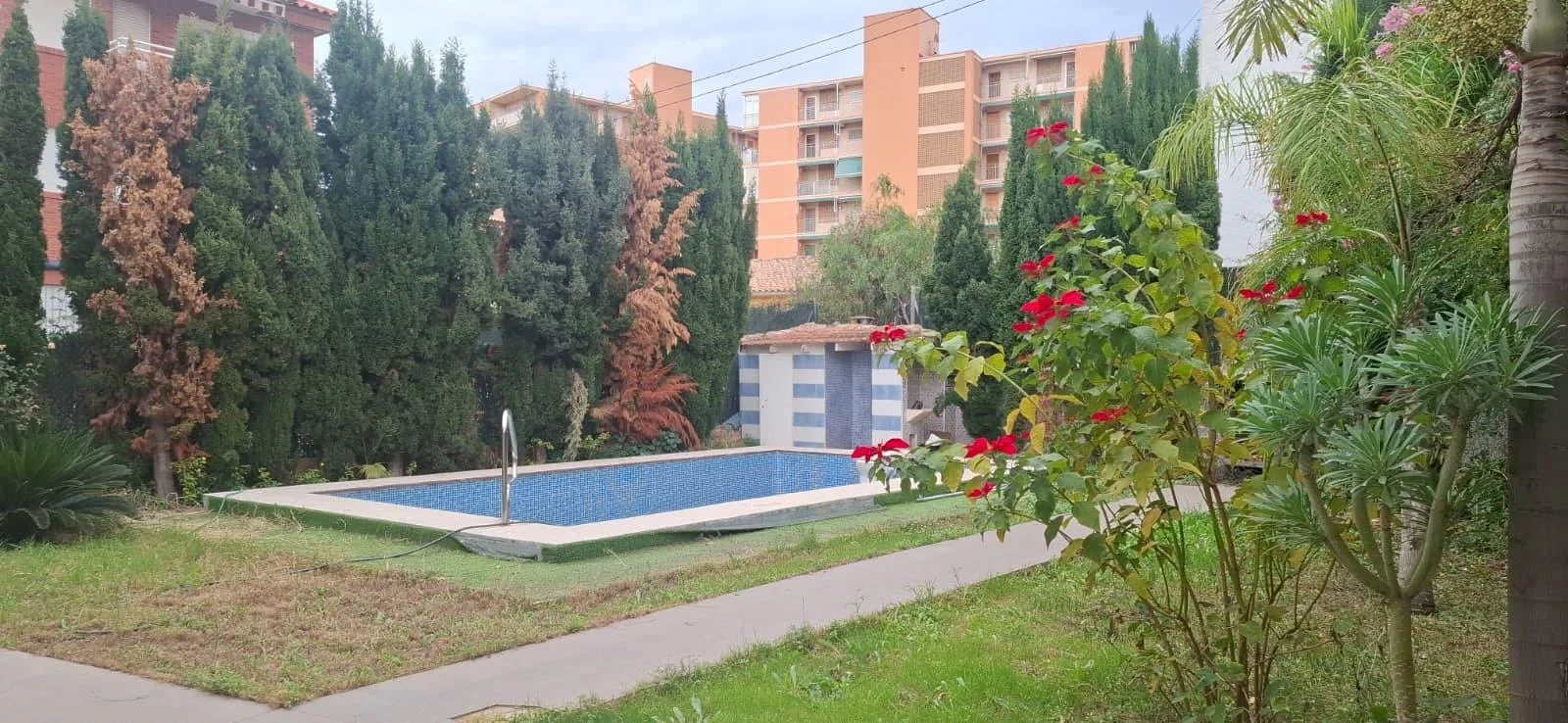 Independent chalet near Muchavista beach