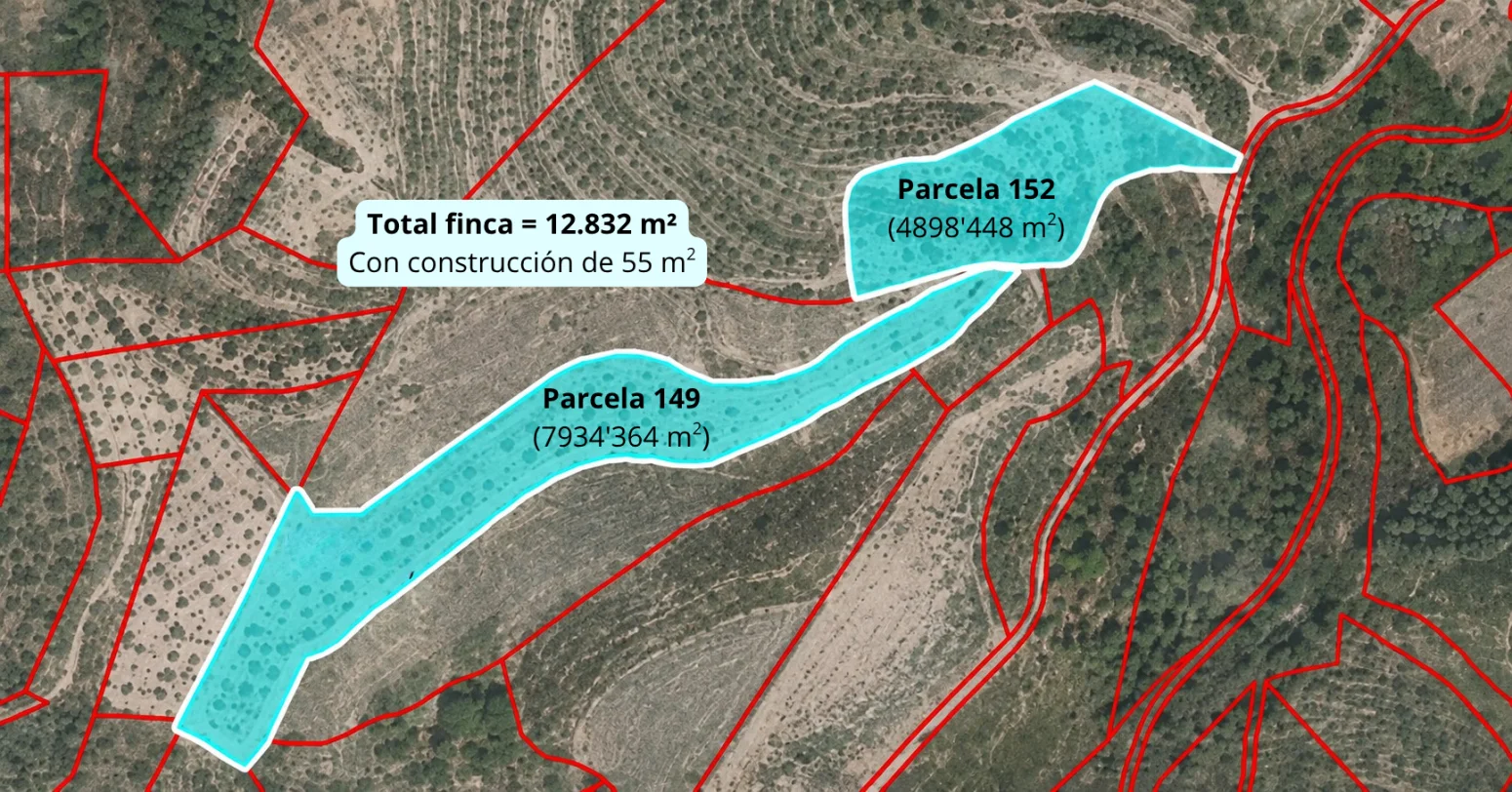 Finca rústica de olivos con 12.832 m²