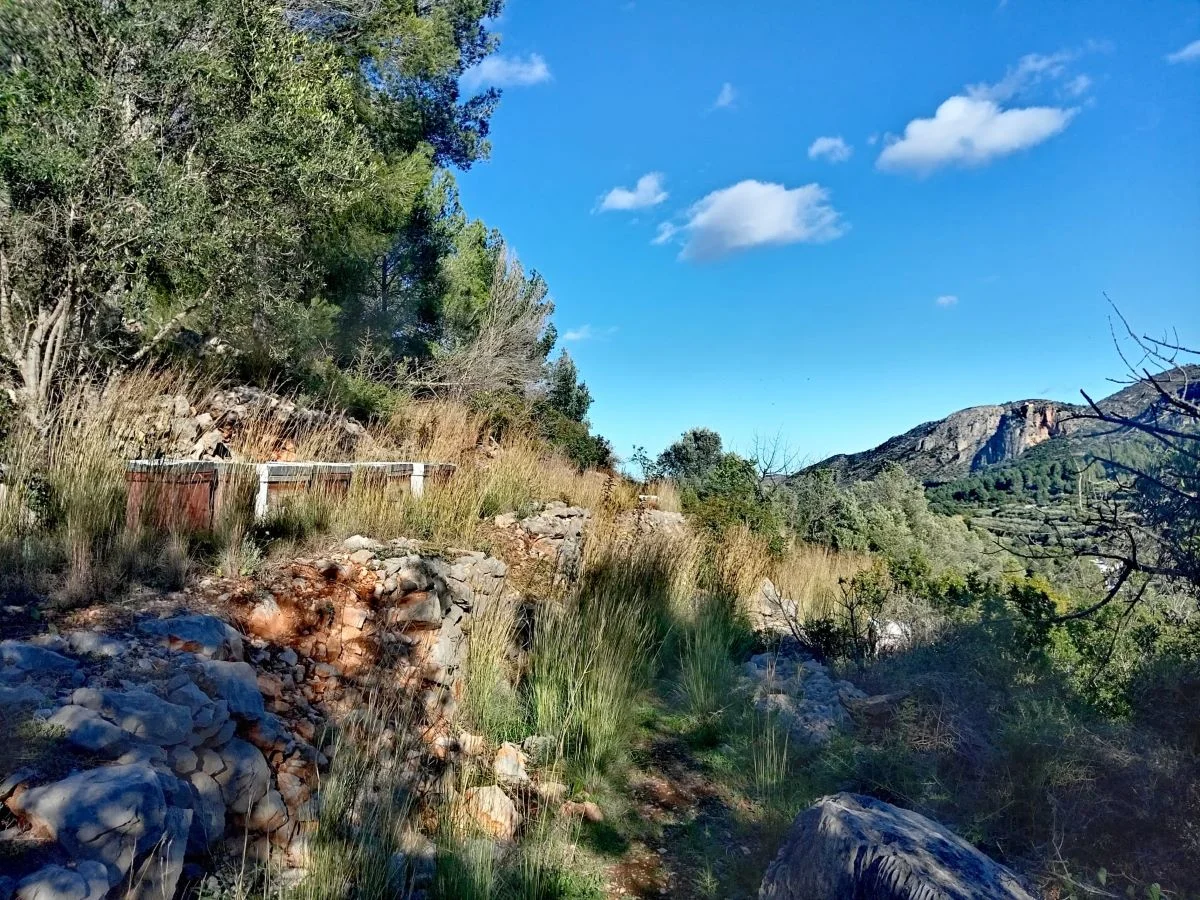 Rural plot near Alcalalí, 3,089 m²