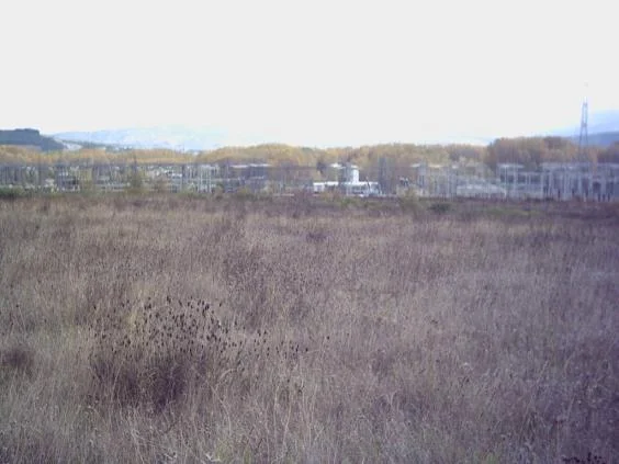 10,000 m² Columbrianos building plot