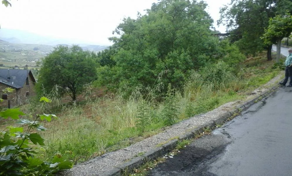 Urban plot in Patricia, 795 m²