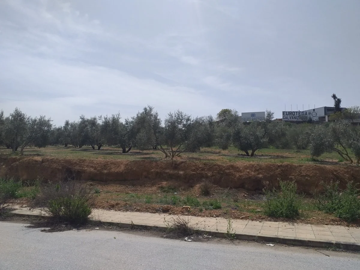Suelo industrial en Lachar, 1.146 m²