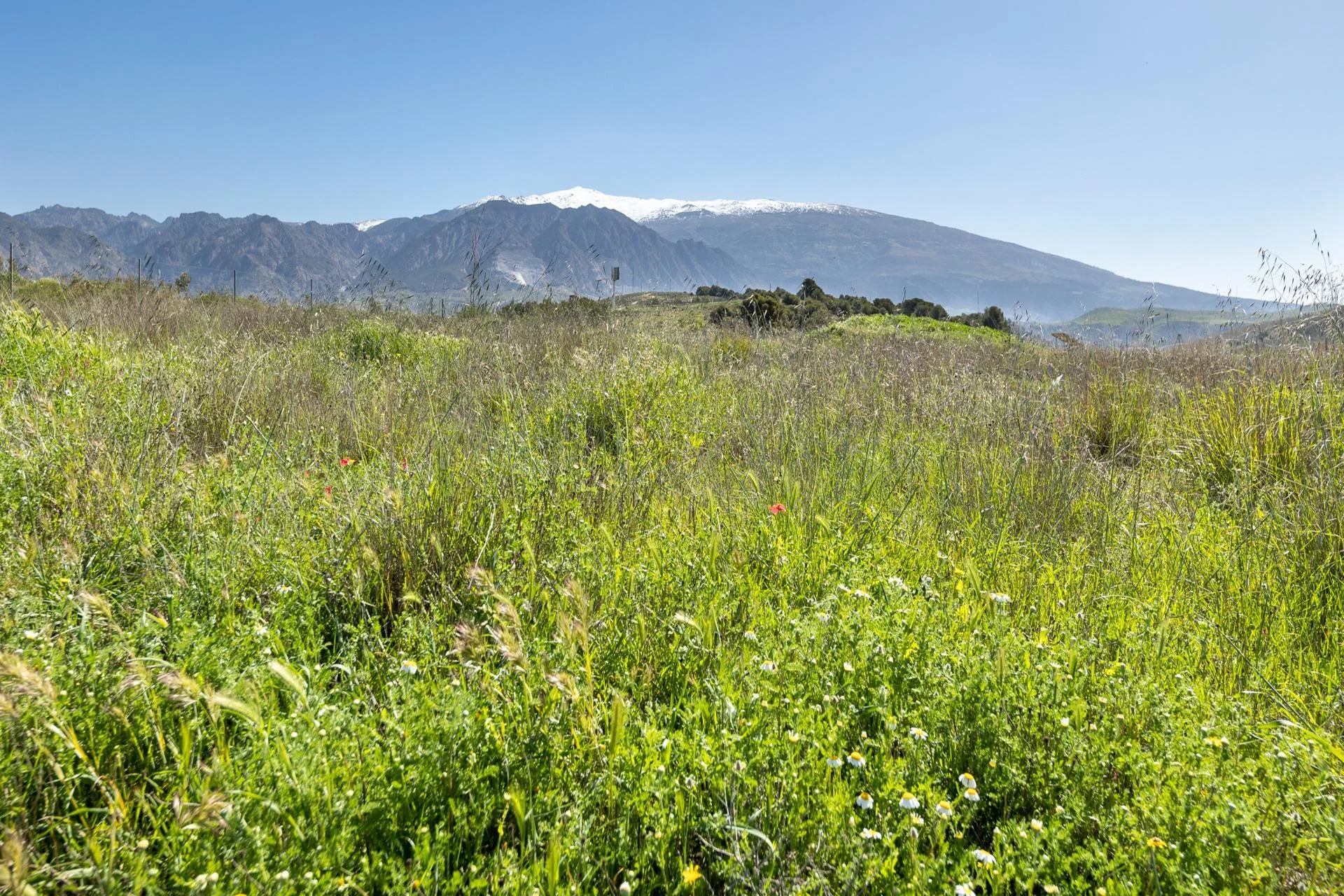 Fenced rural land near Conchar, 8000 m²