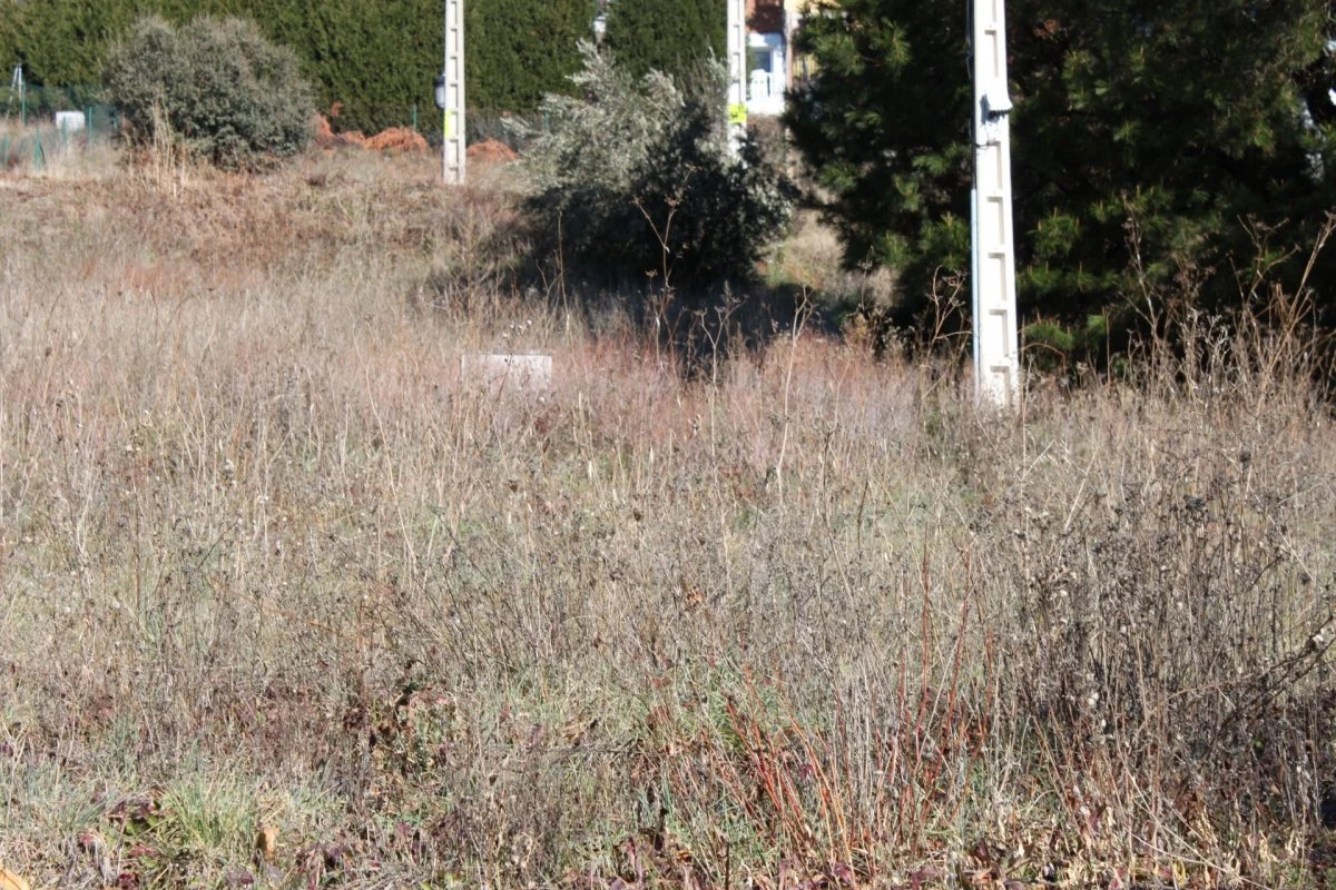 Urban land plot in Patricia, 717 m²