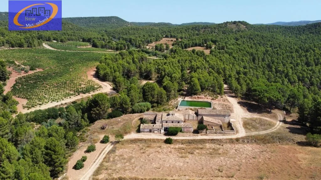 Gran finca rural de viñedos con derechos de agua