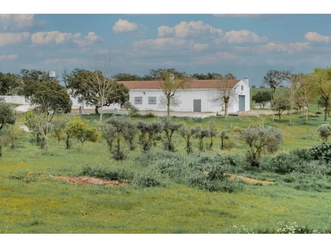 Finca rústica bancaria de 126 hectáreas
