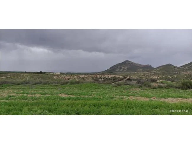 Gran finca rústica cerca de Lorca