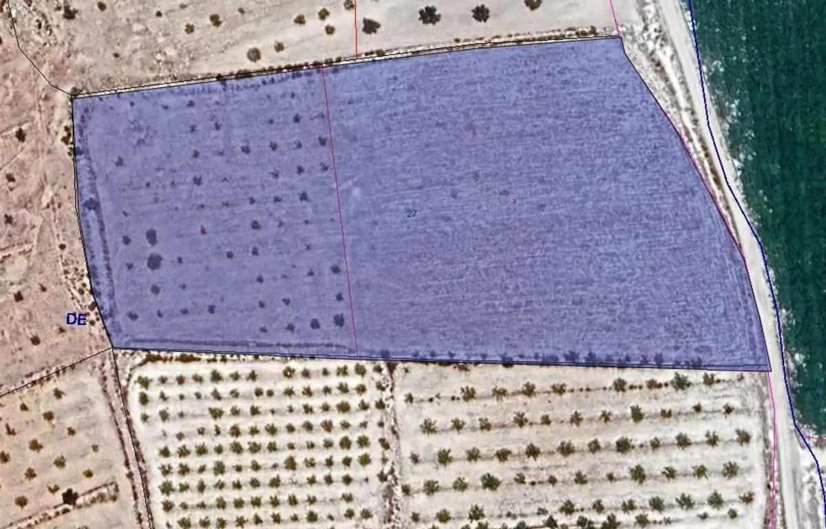 Large Pinoso plot with irrigation